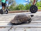 Slow traffic along the Acropolis Loop