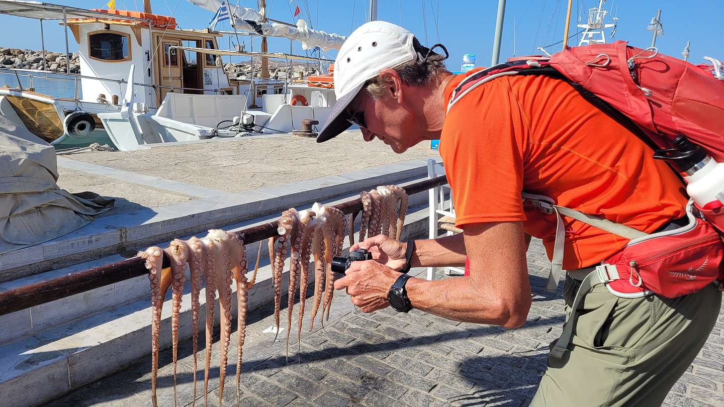 Freshly caught octopus