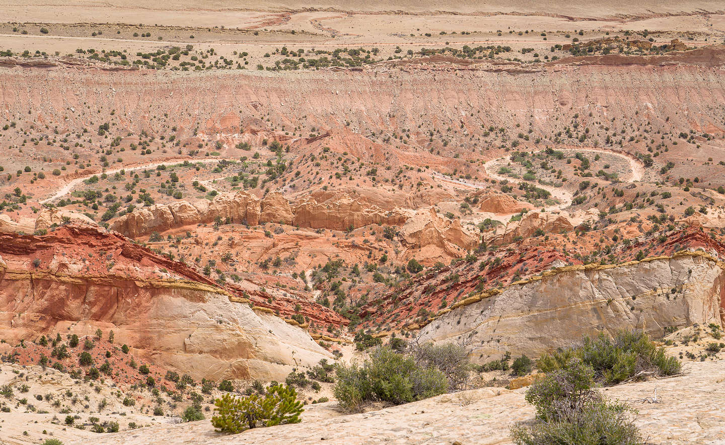 More views of the Strike Valley from atop the Waterpocket Fold