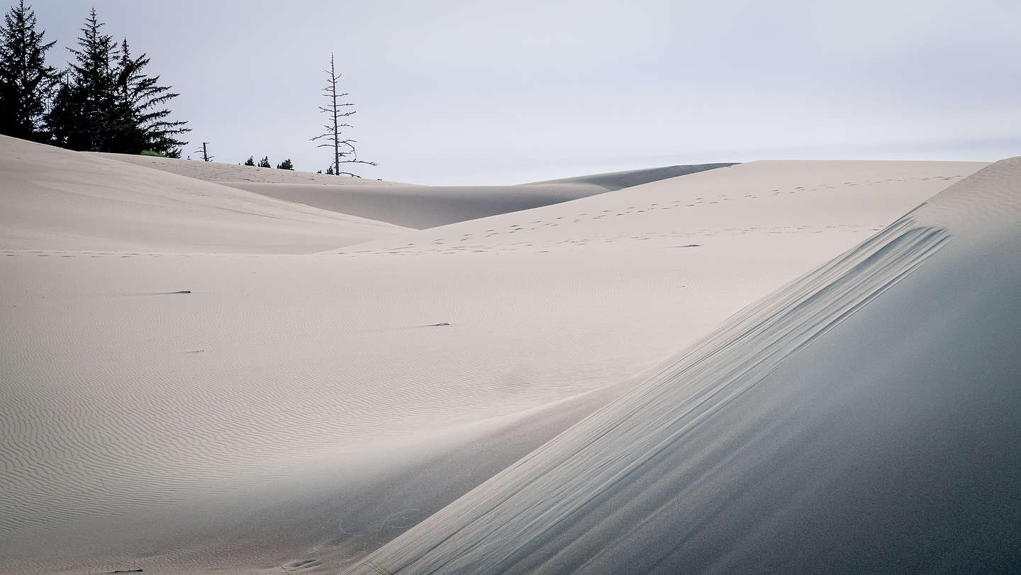 Umpqua Dunes