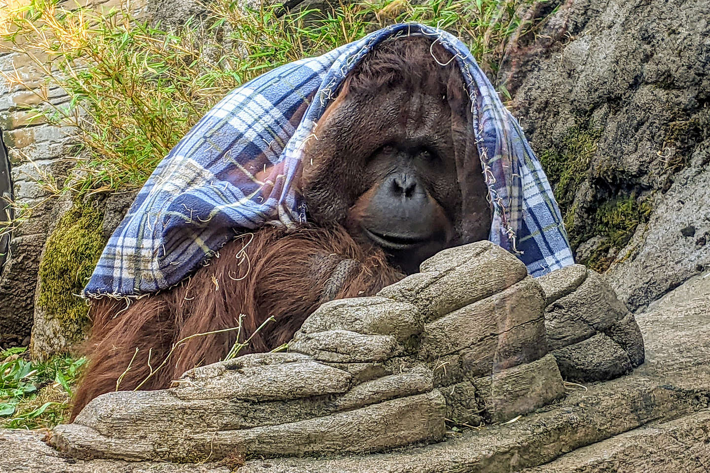 Portland Zoo