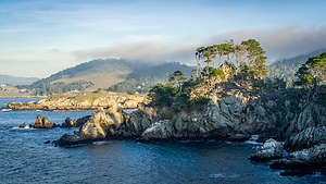 Along the Point Lobos Perimeter Trail