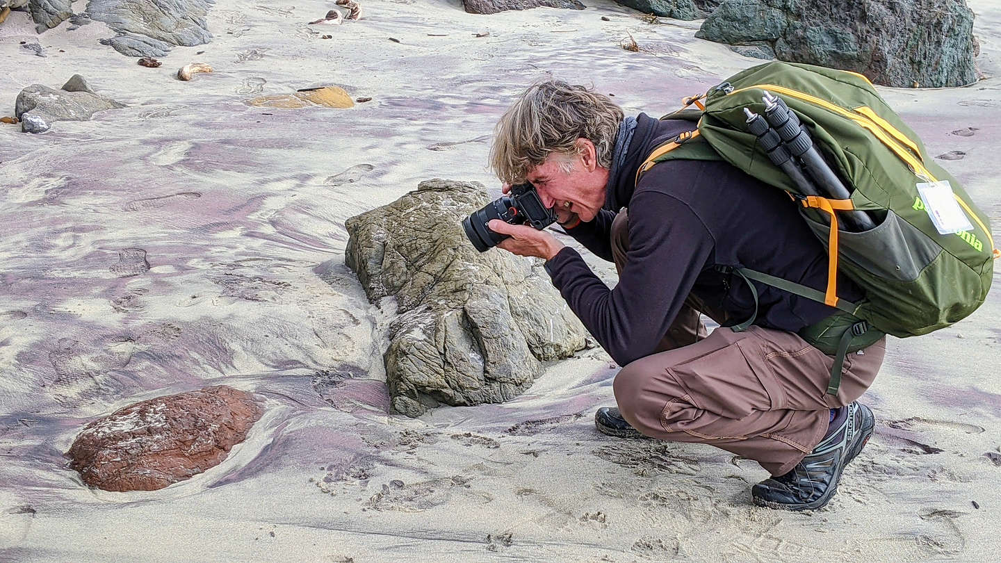 Herb stalking purple sand on Pfeiffer Beah