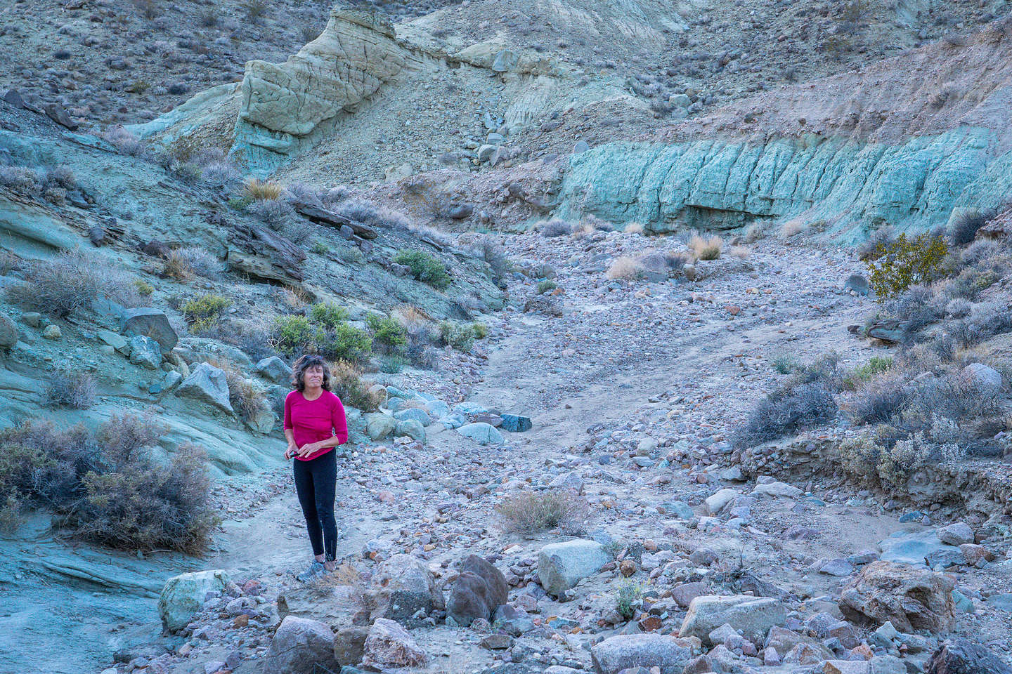 Lolo playing in Rainbow Basin