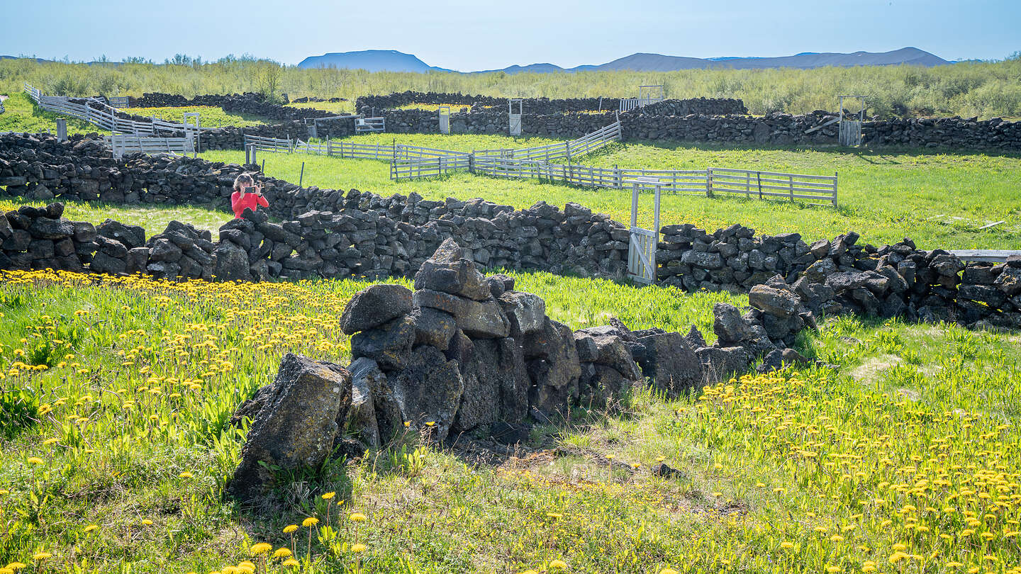 An 1880s Sheepfold