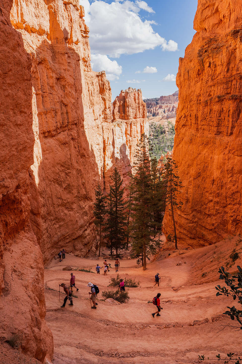 Hiking down into the Amphitheater