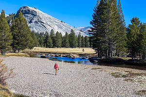 Tuolumne Meadows