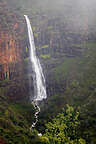 Waimea Canyon Waipo'o Falls