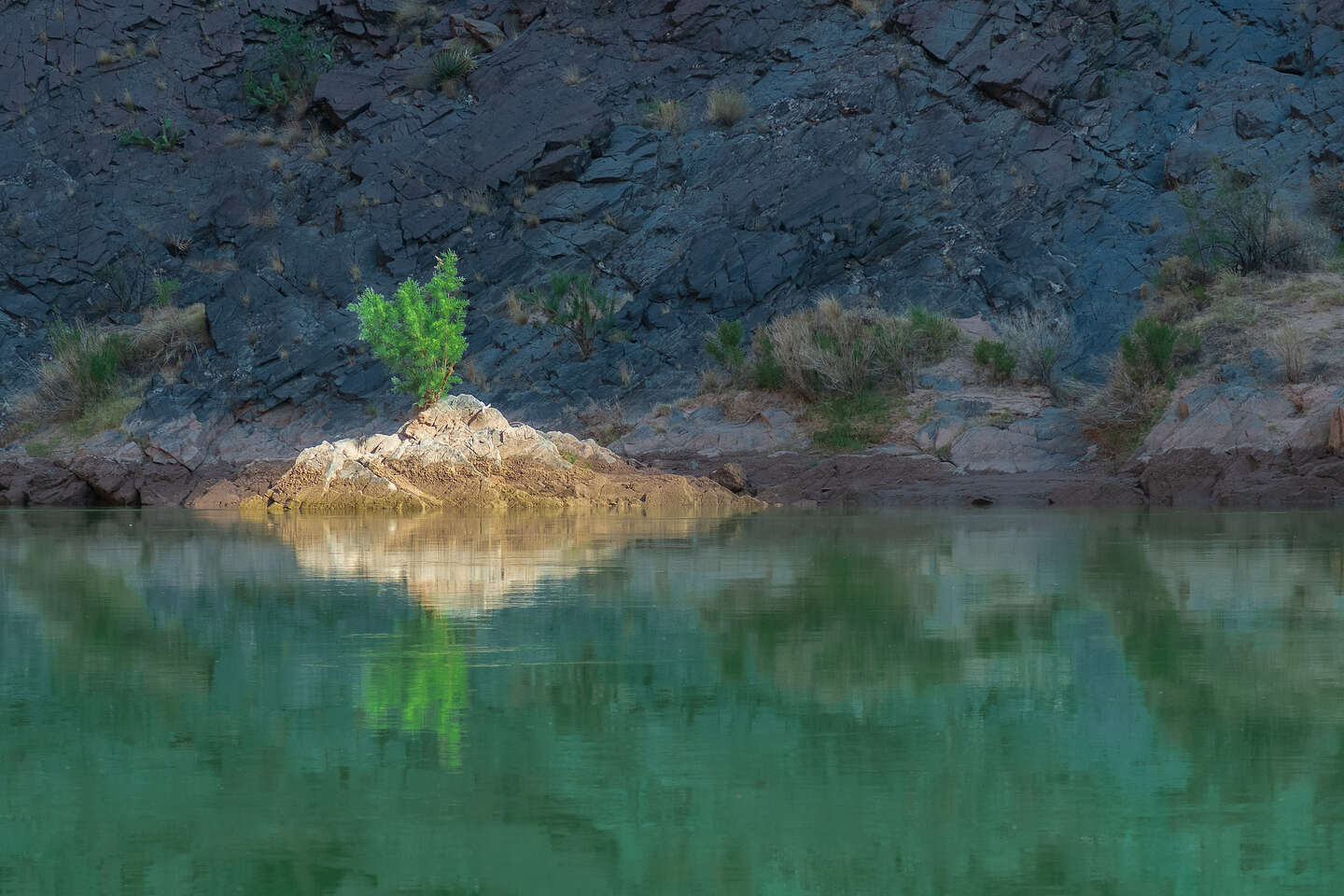 Morning light hits the river