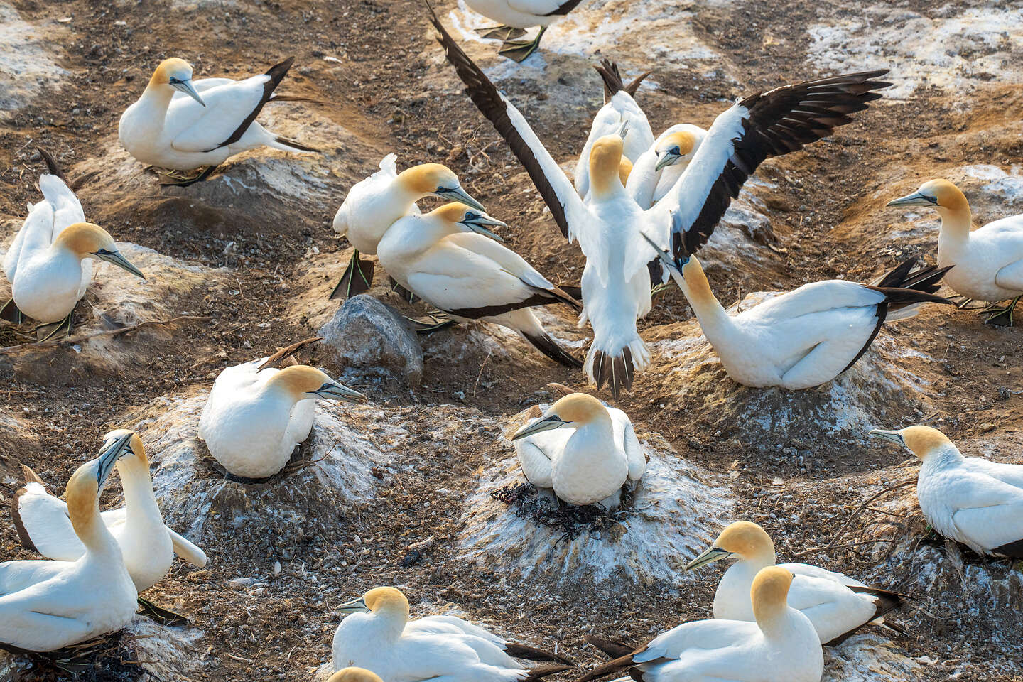 "Sticking" the landing