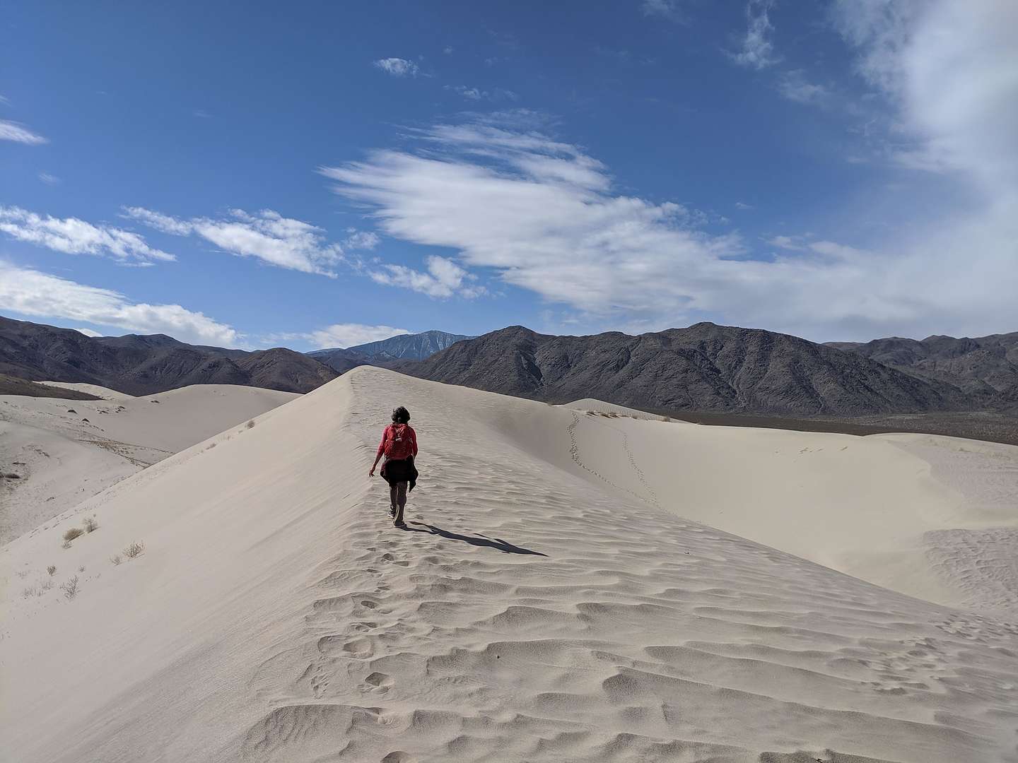 Hidden Dunes