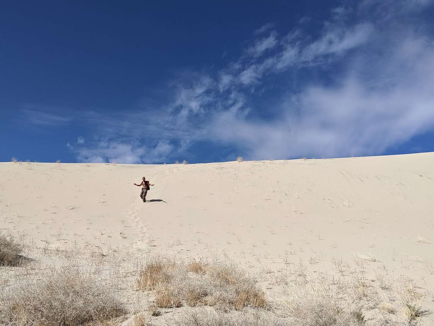 Hidden Dunes