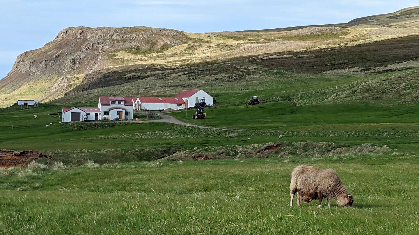 Along the way to the puffins colony