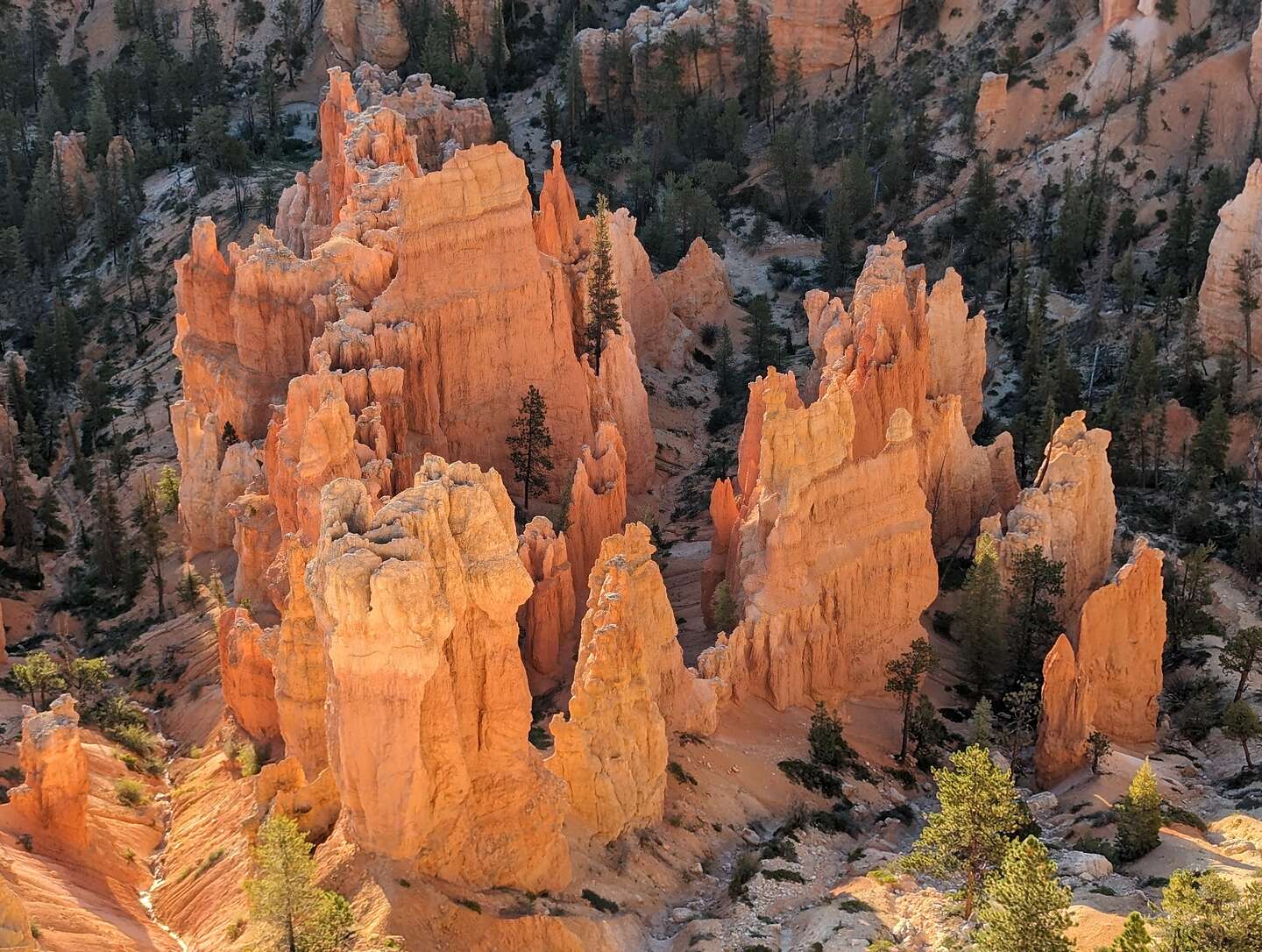 Sunrise from Inspiration Point