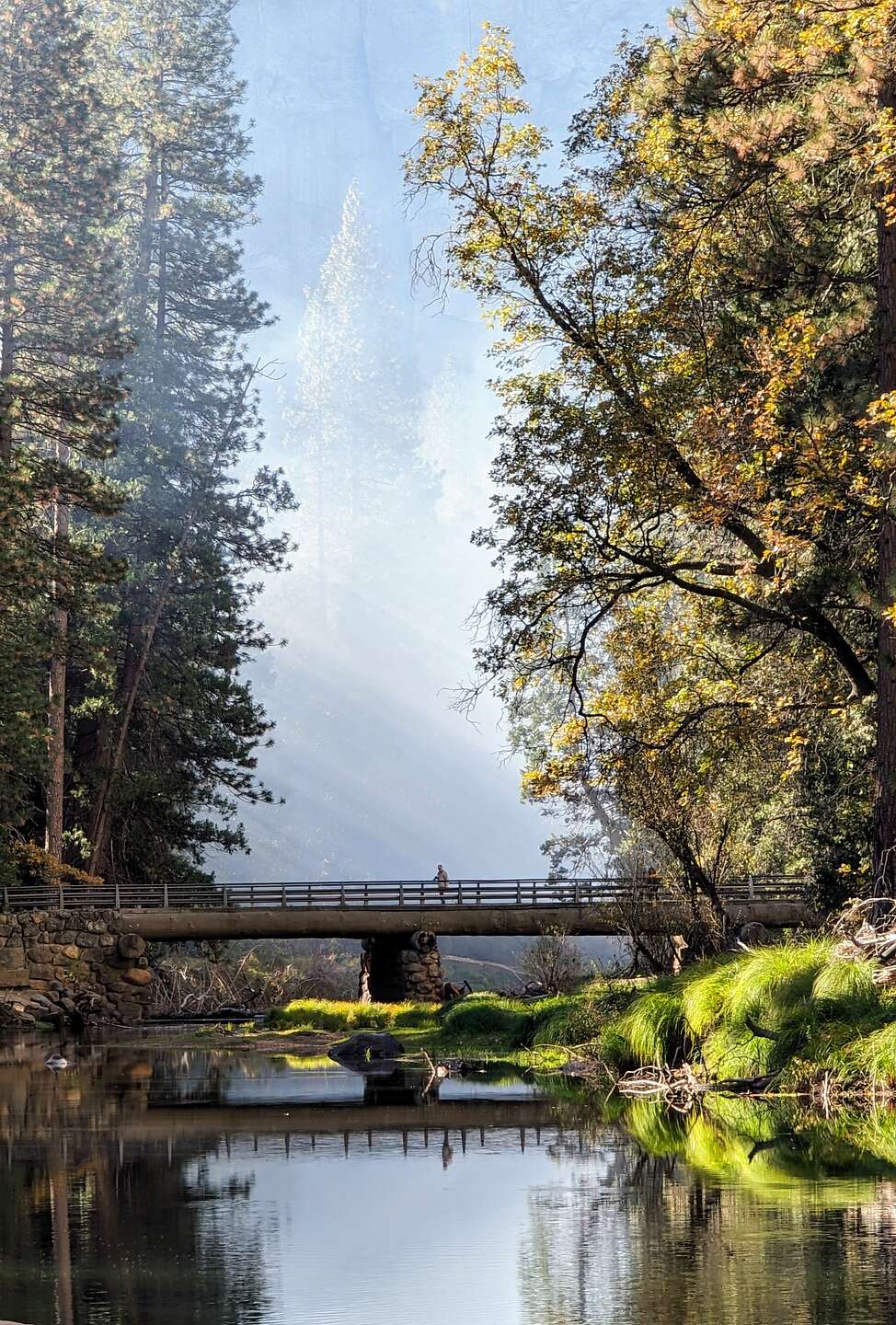 Near El Cap Meadow