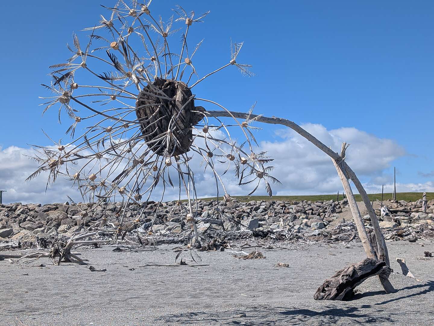 Hokitika Driftwood Art