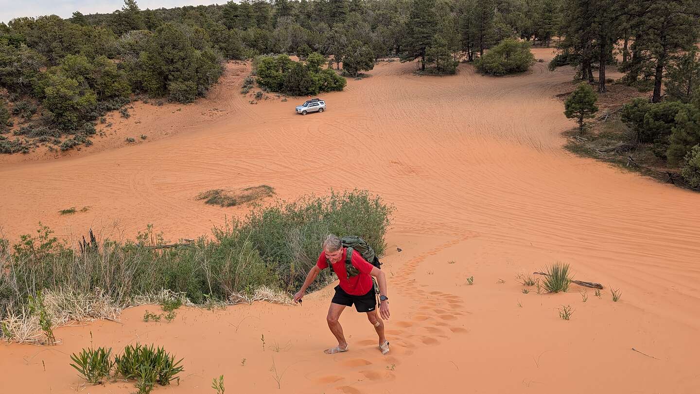 Conquering the dunes on foot Conquering the dunes on foot