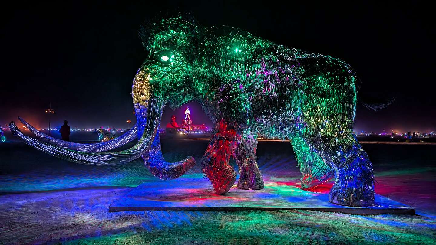 "Reborn" after dark "Reborn" after dark