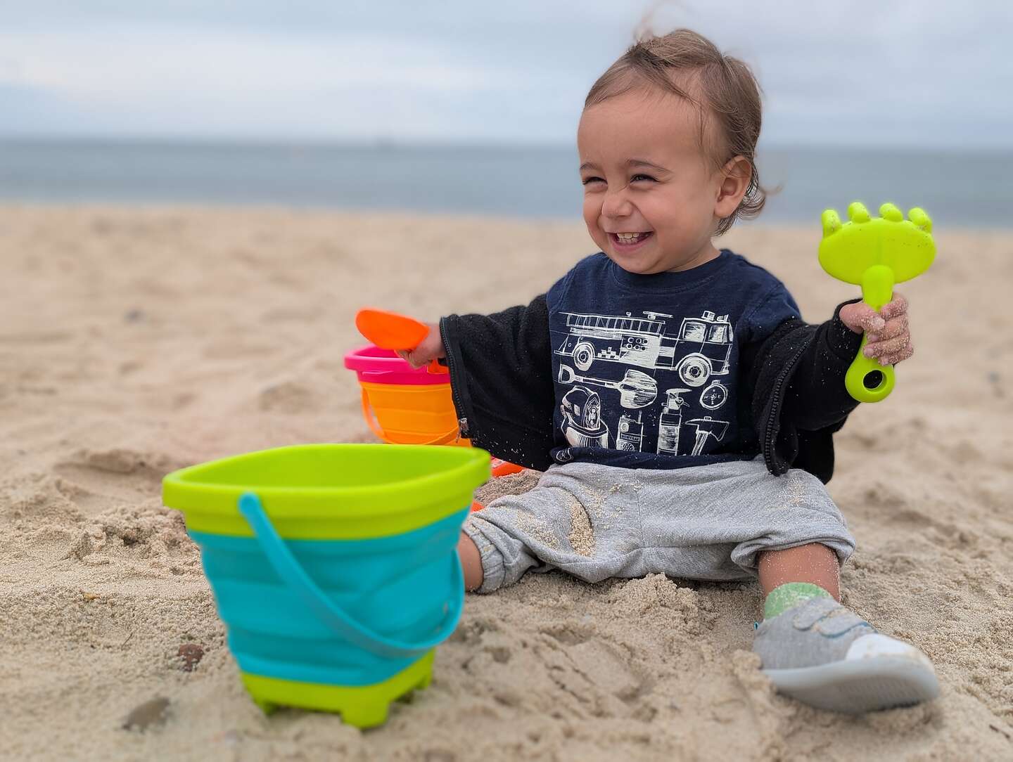 Walker enjoying the sand Walker enjoying the sand