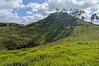 Mangere Mountain Mangere Mountain