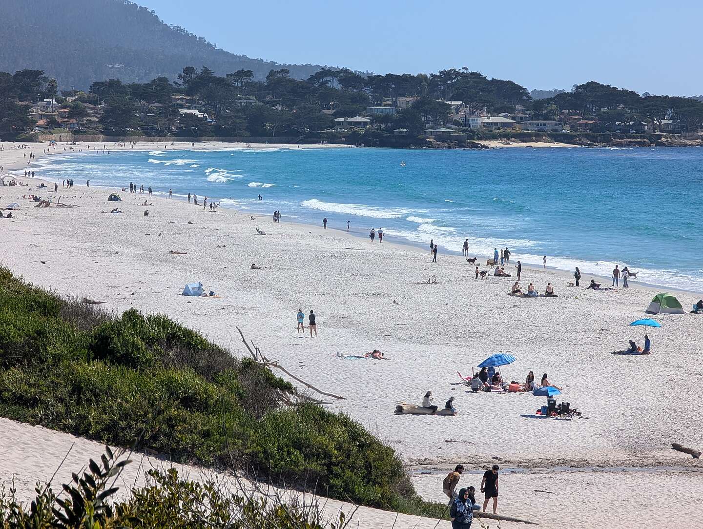 Carmel Beach