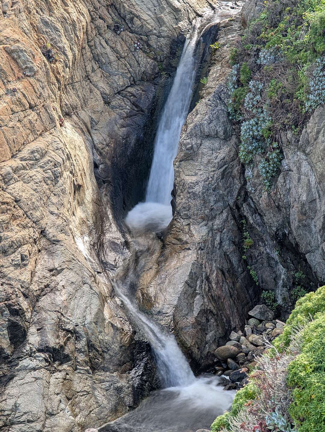 Garrapata State Park