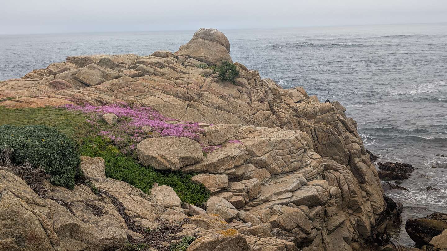 Spanish Bay Vista Point