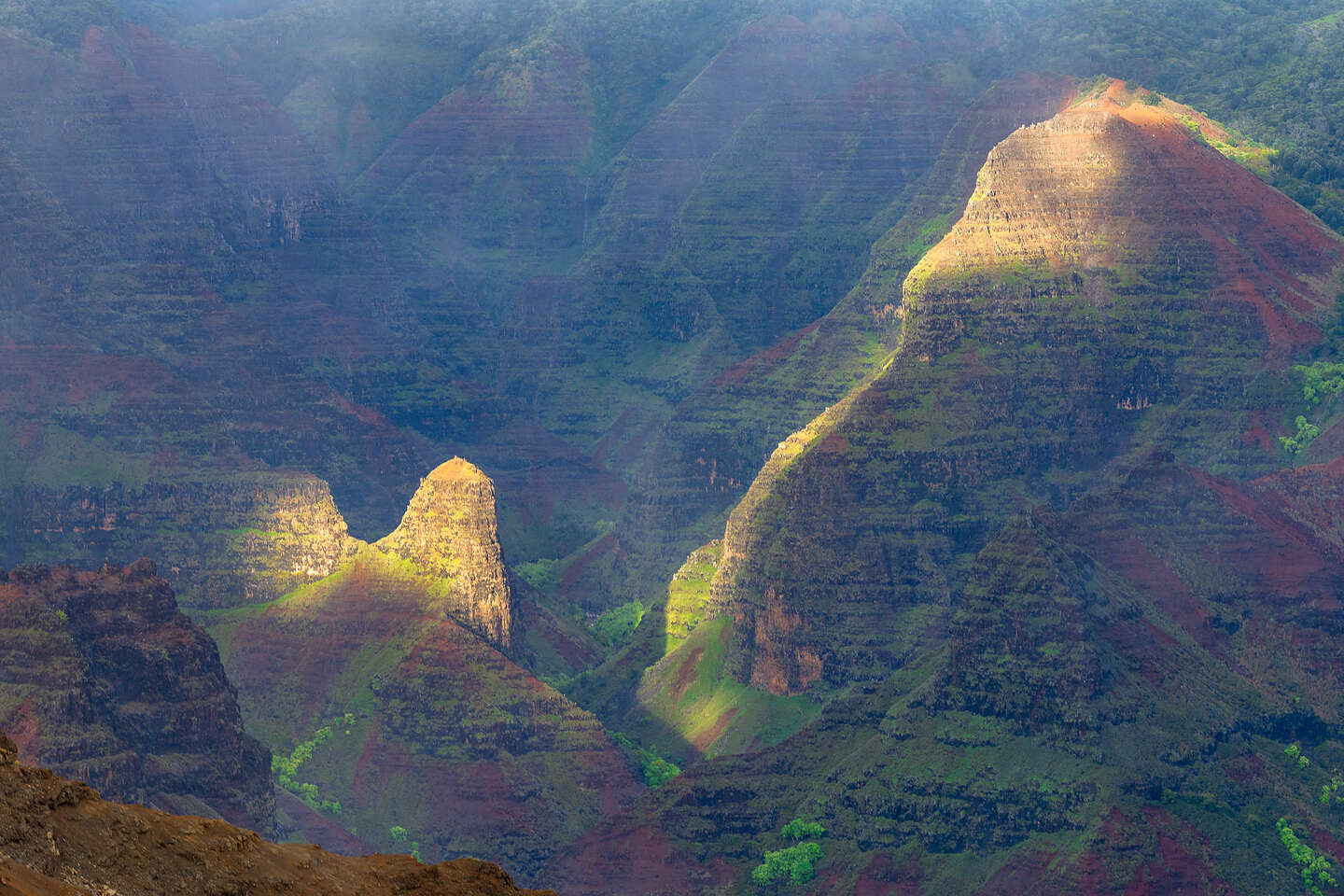 Waimea Canyon 