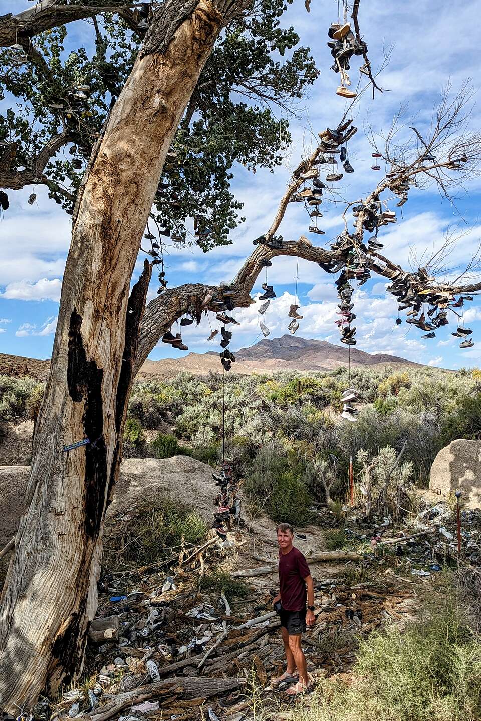 The Shoe Tree