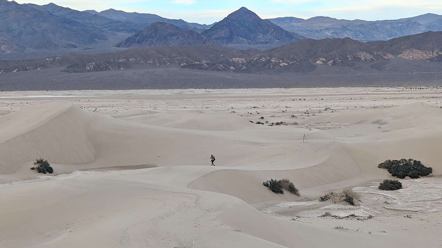 Mesquite Dunes