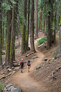 Mom and Dad on Four Mile trail to Glacier Point - TJG