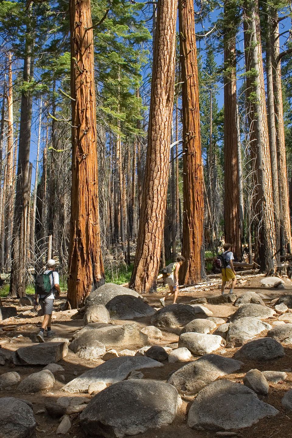 Dad, Mom, and Tom on start of Half Dome hike - AJG