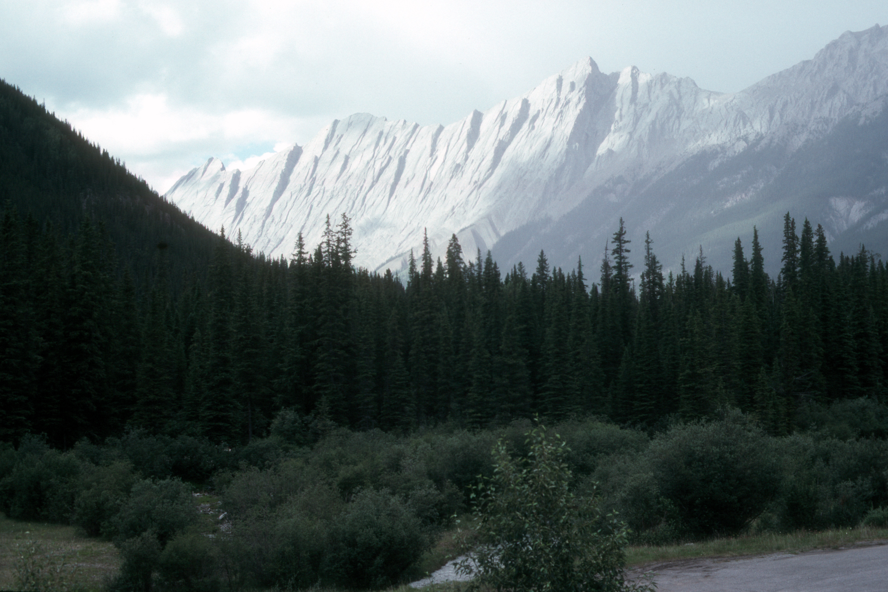 Jasper Rockies