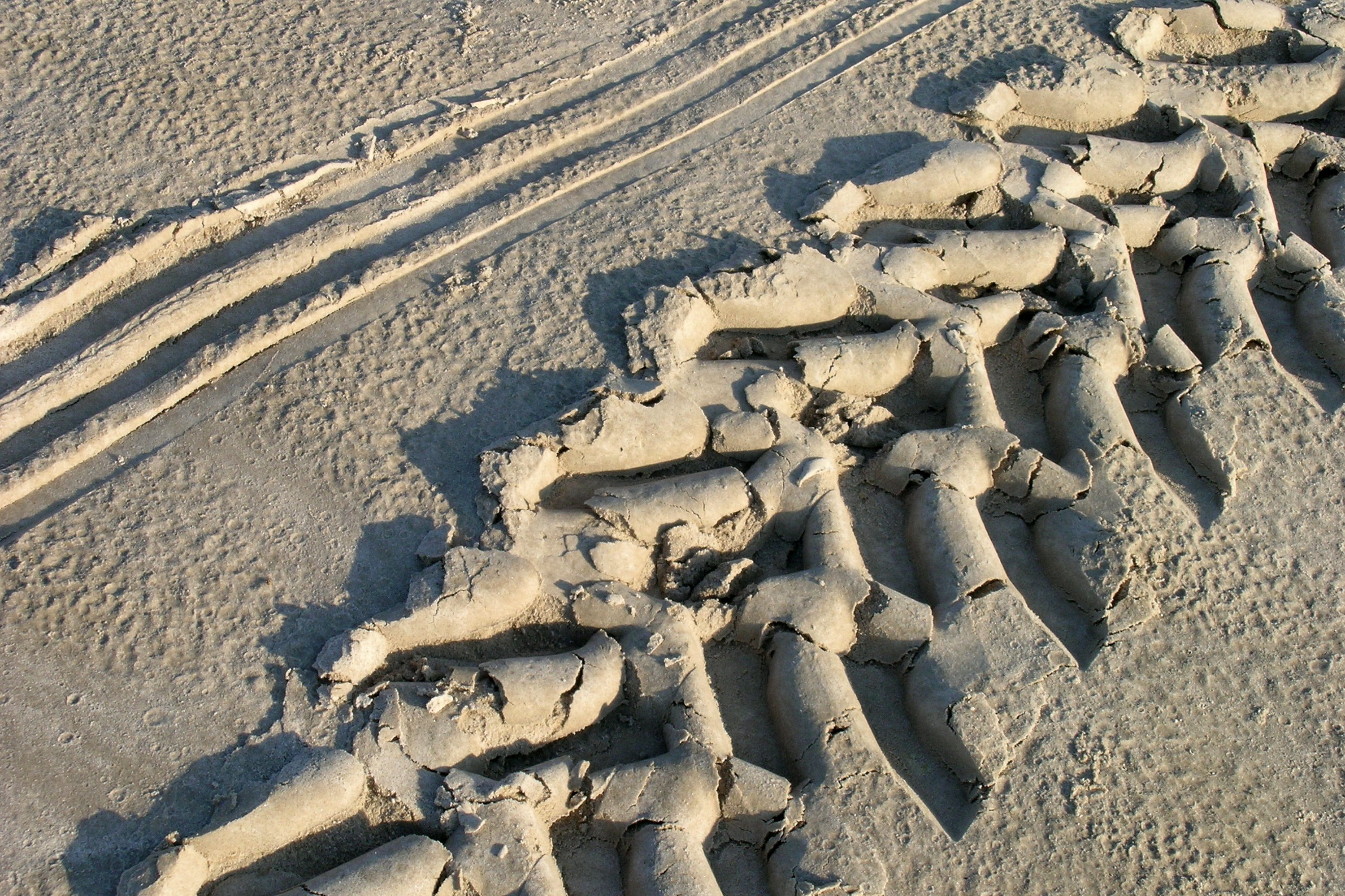 Tractor tracks for beachfront camping
