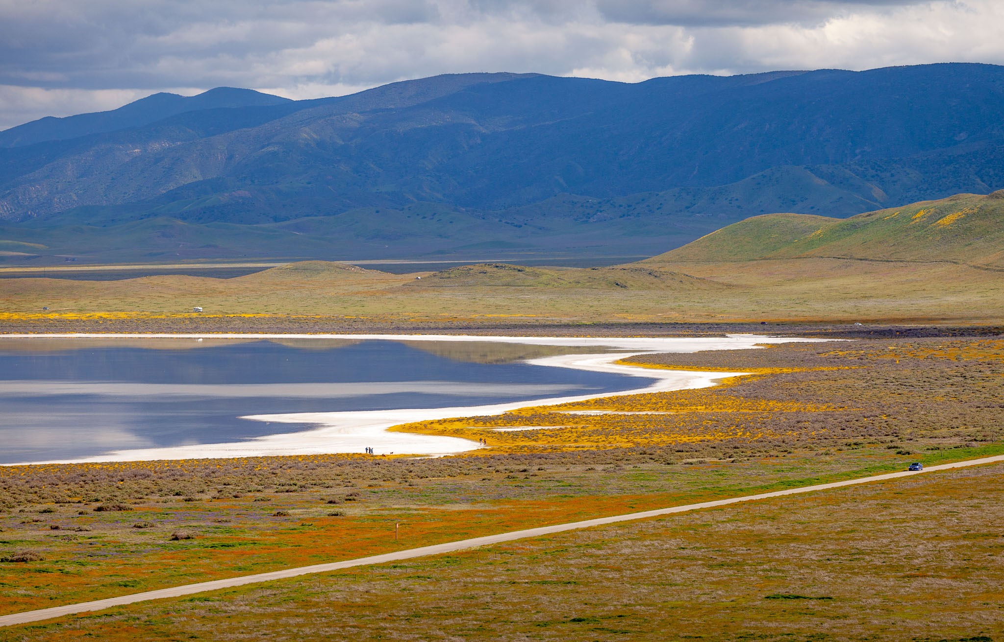 2019 Superbloom