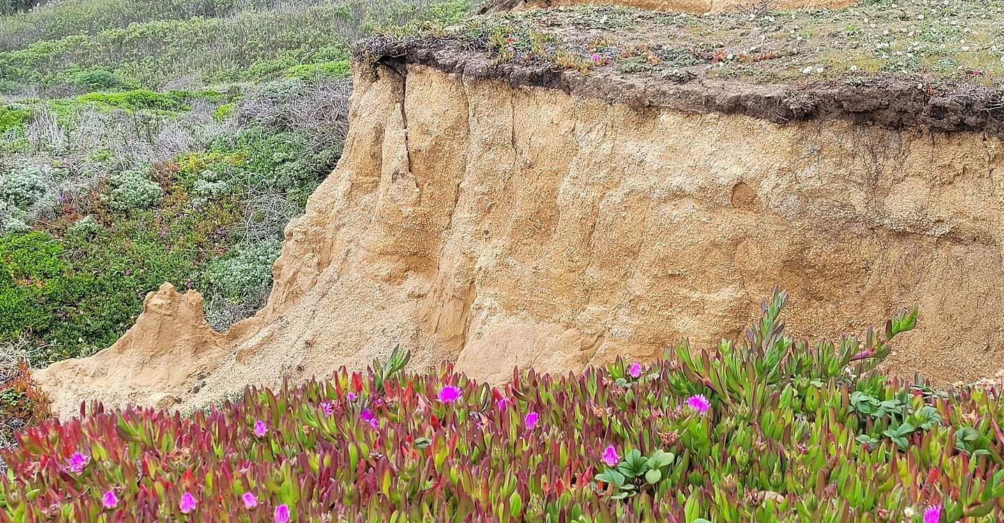 2022 Pescadero & Capitola