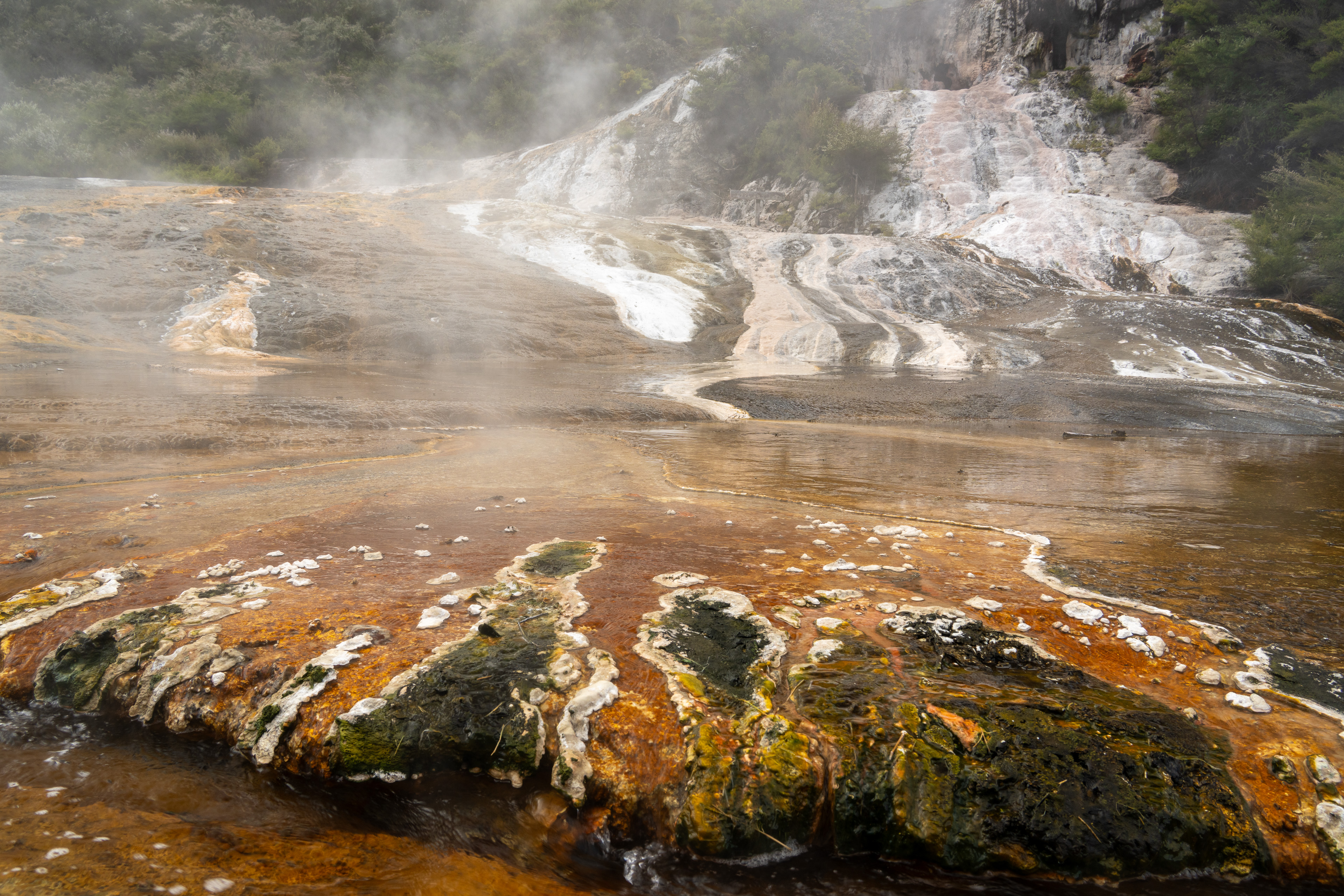 Orakei Korako