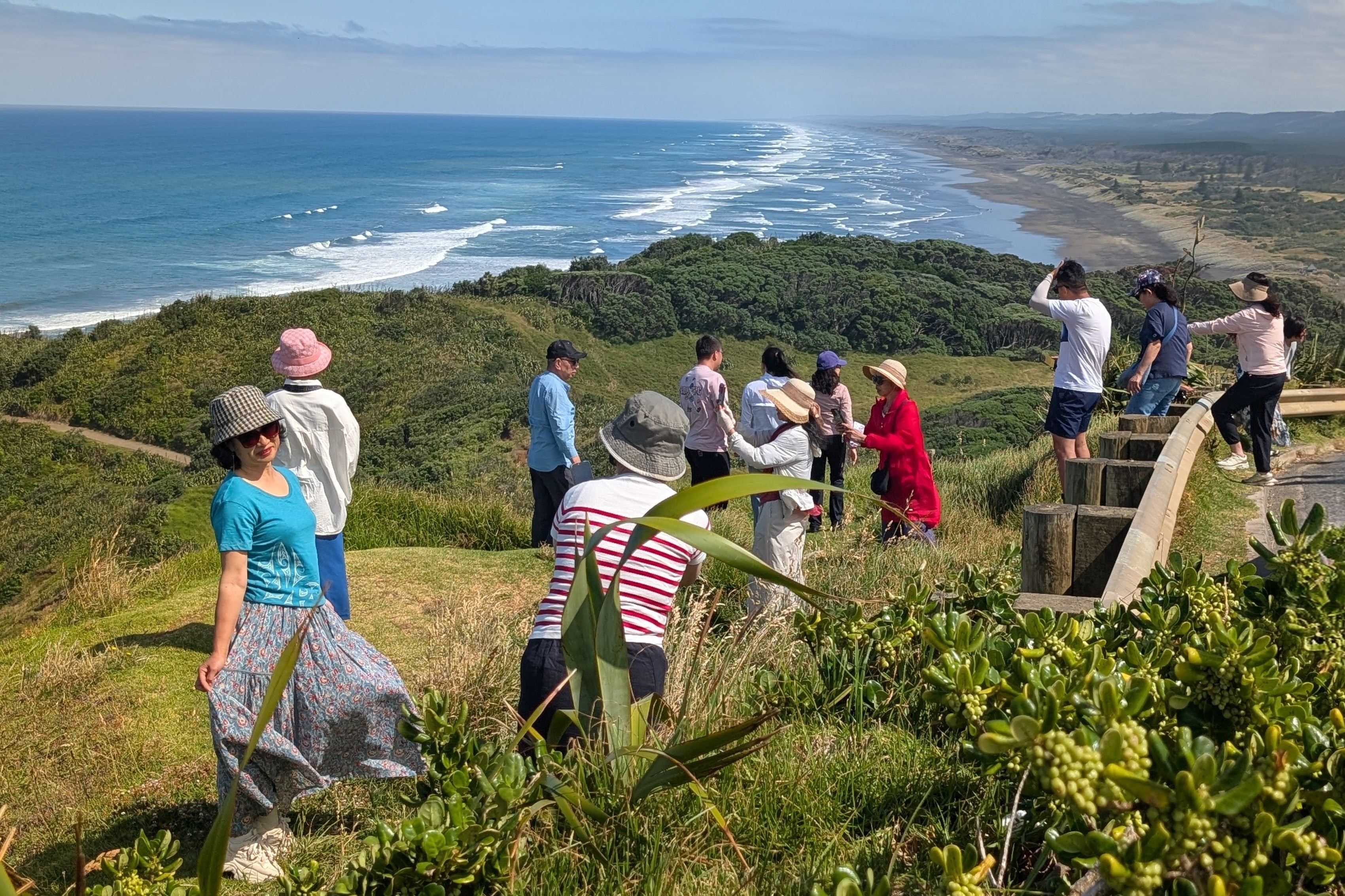 Tour bus joins us at Muriwai Beach Lookout