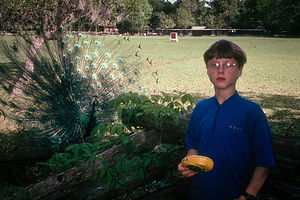 Tommy with peacock