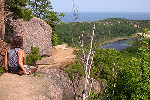 Hiking the Beehive Trail