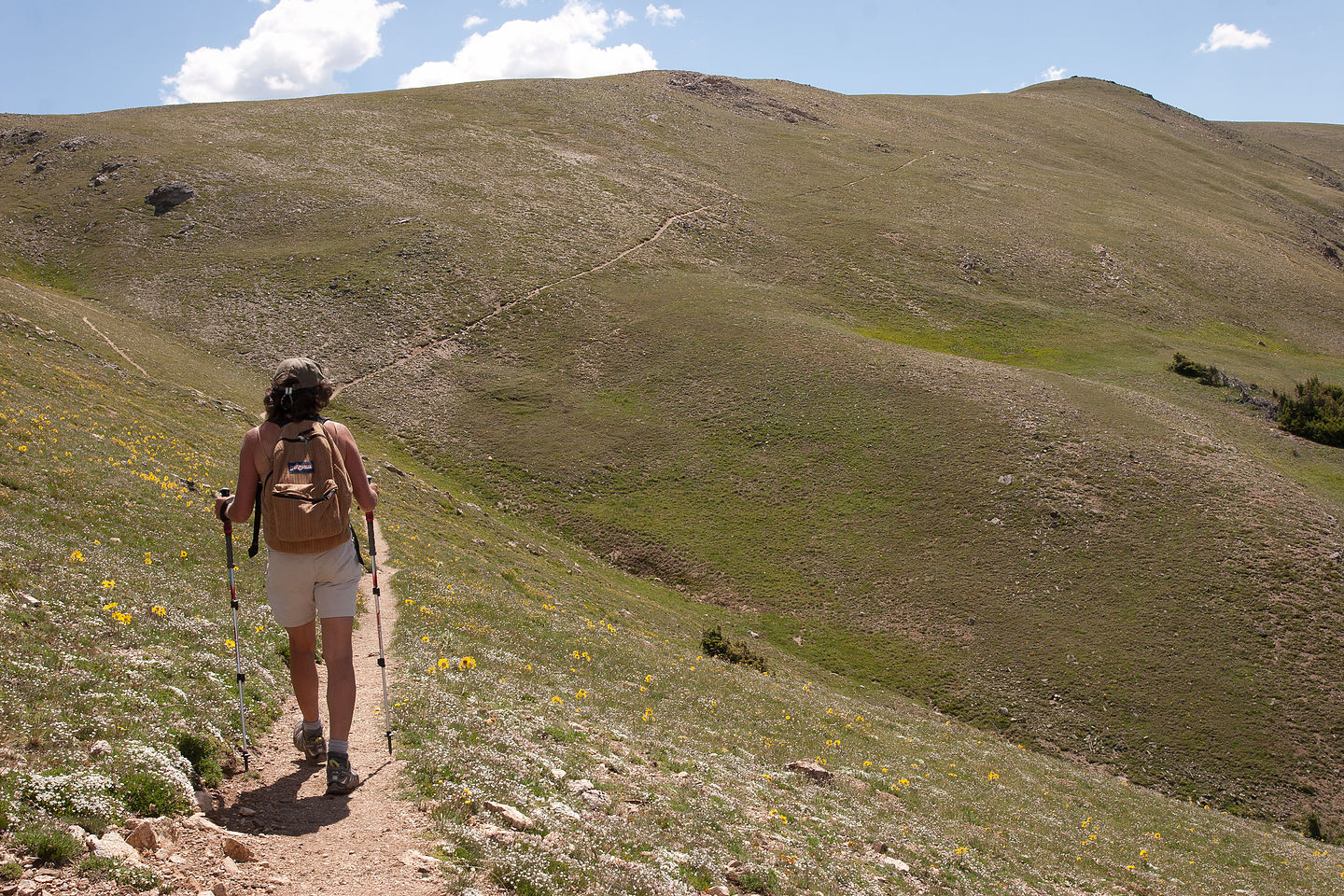 Lolo hiking trail to Mt. Ida