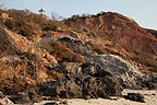 Cliffs and Lighthouse from Moshup Beach