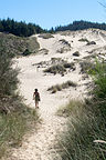 Oregon Dunes National Recreation Area