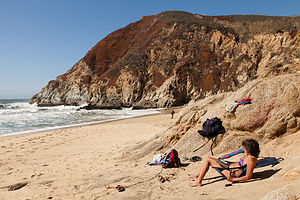 Lolo at Gray Whale Cove State Beach