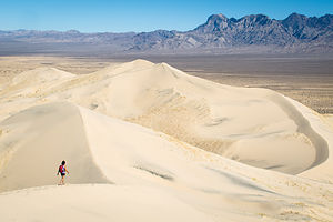 Kelso Dune with Tiny Lolo