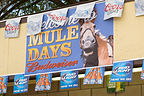 Mule Days Official Beer