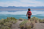 Lolo on Panum Crater Rim Trail