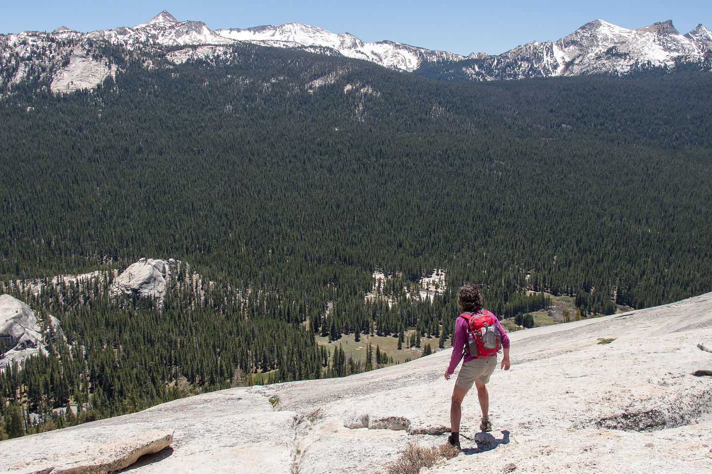 Lolo on Treacherous Descent from Lembert Dome