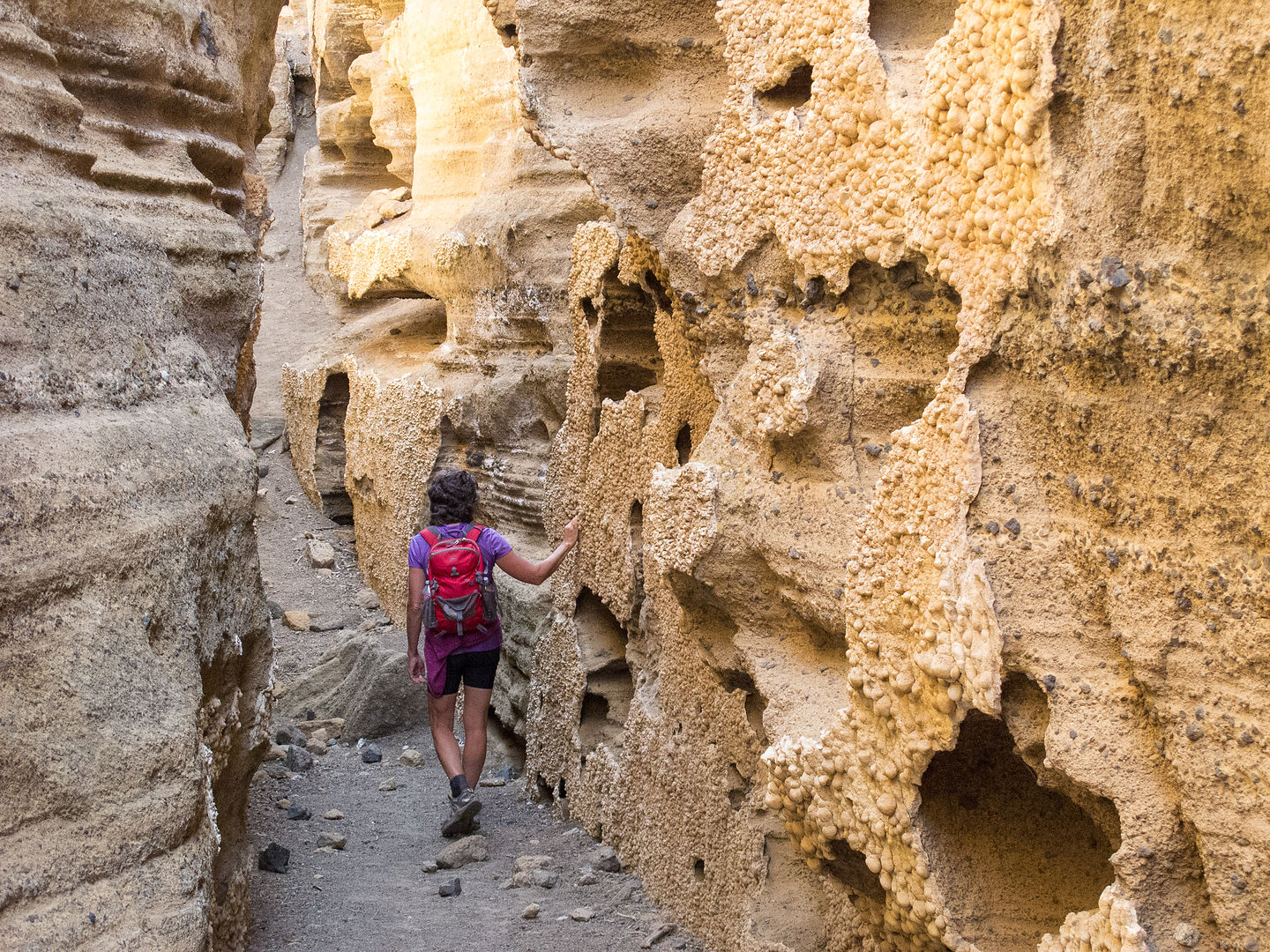 Lolo Hiking Black Point Fissures