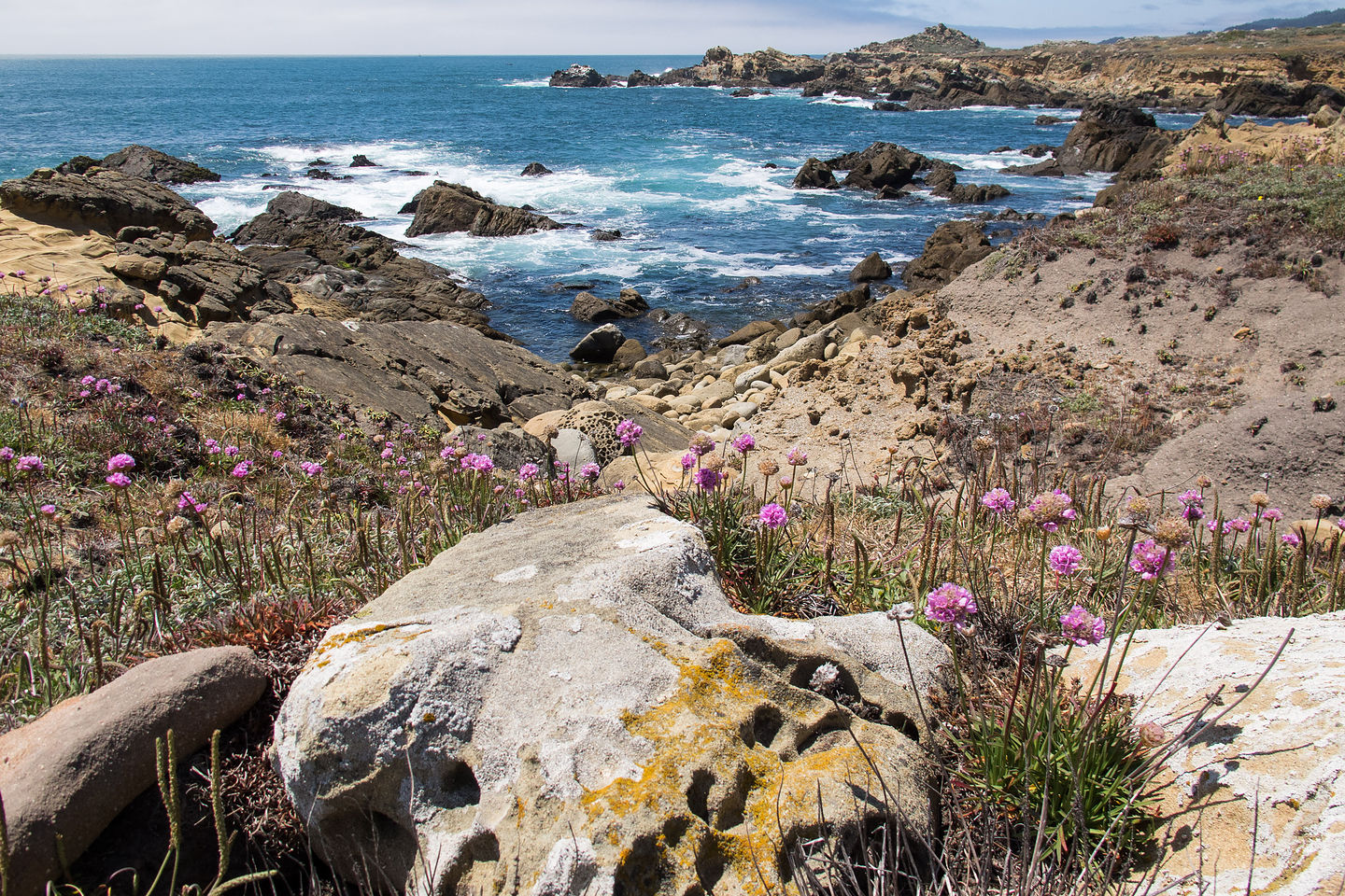 Salt Point State Park Coastline